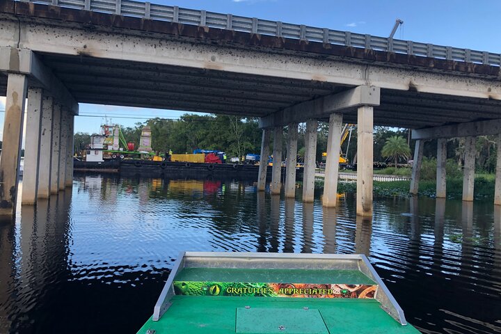Thrilling airboat adventure on the St. Johns River in St. Augustine, Florida, spotting wildlife, photo 17 | wizardtrip