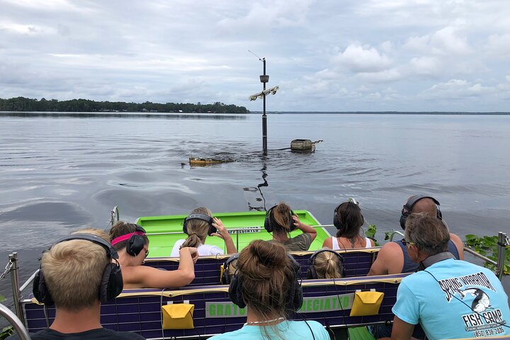 Thrilling airboat adventure on the St. Johns River in St. Augustine, Florida, spotting wildlife, photo 21 | wizardtrip