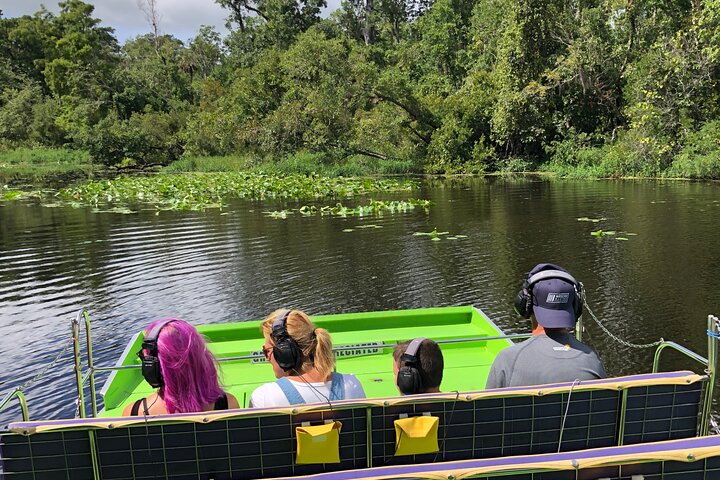Thrilling airboat adventure on the St. Johns River in St. Augustine, Florida, spotting wildlife, photo 22 | wizardtrip