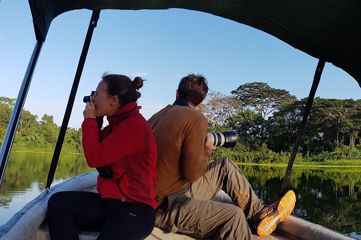 Erlebe Panamas Tierwelt und Wasserwege auf einer aufregenden Dschungel-Boots-Tour, Foto 8 | wizardtrip