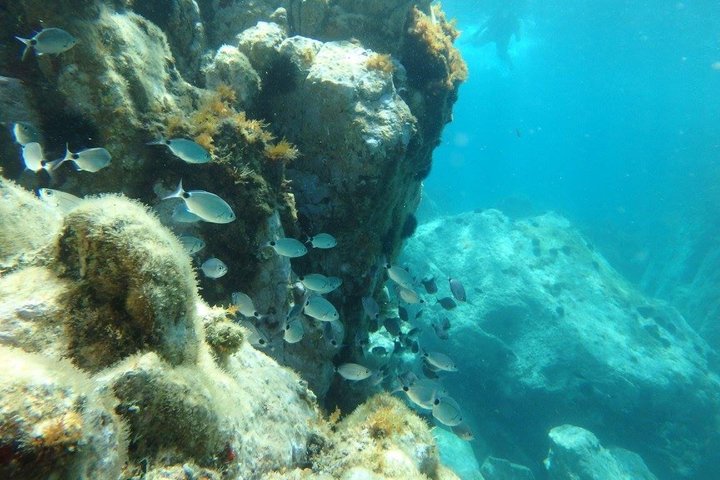 Kajak- och snorklingsäventyr på Costa Brava från Barcelona, utforska vikar och klippor, foto 20 | wizardtrip