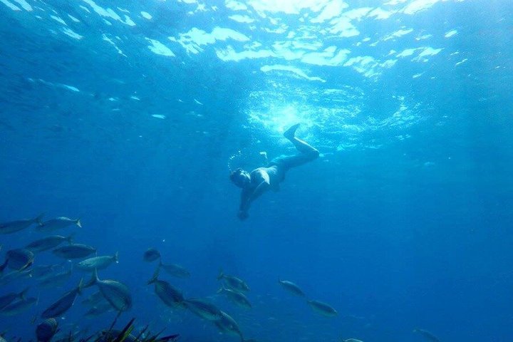 Kajak- och snorklingsäventyr på Costa Brava från Barcelona, utforska vikar och klippor, foto 28 | wizardtrip
