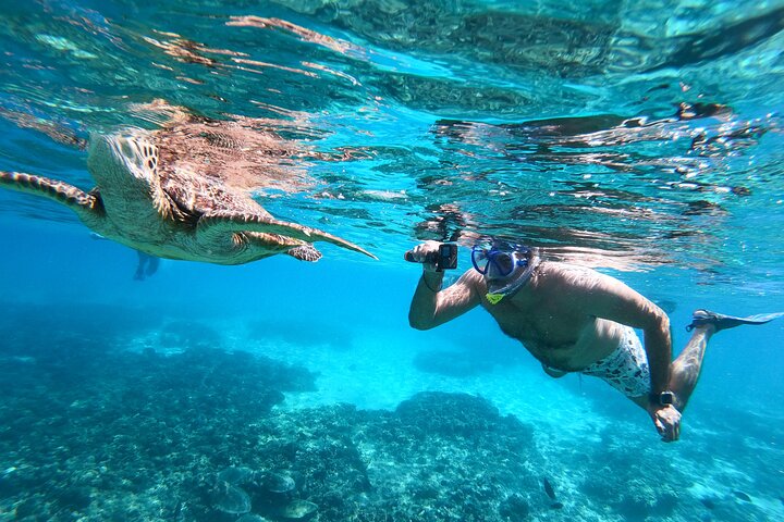 Aventure Snorkeling Guidée aux Îles Daymaniyat au départ de Mascate | wizardtrip
