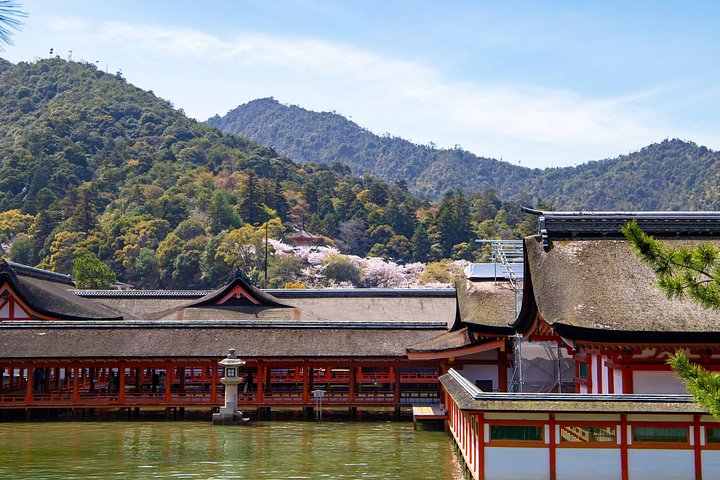 Heldagstur til Hiroshima Peace Memorial Park og Miyajima Island med Itsukushima Shrine og Great Torii Gate, foto 12 | wizardtrip