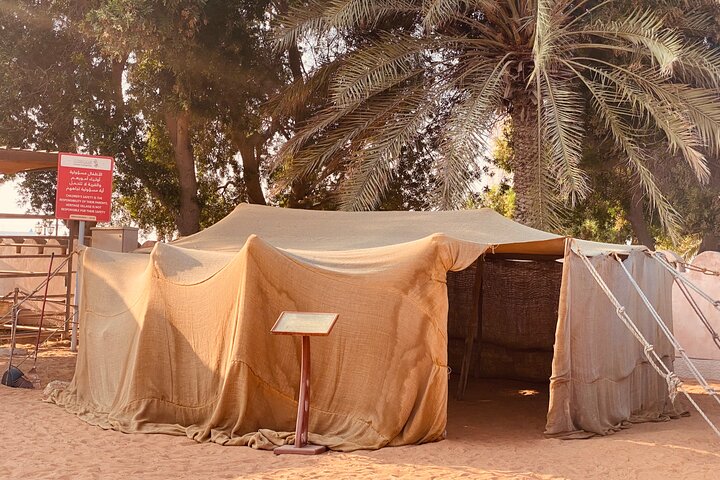 Visite d'une demi-journée des sites emblématiques d'Abu Dhabi, y compris la Grande Mosquée et l'Emirates Palace, photo 11 | wizardtrip