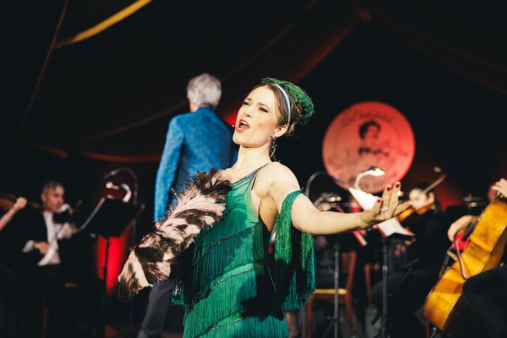 Découvrez le Strauss Dinner Show à Vienne, un mélange de musique classique, de performance et de gastronomie, photo 7 | wizardtrip