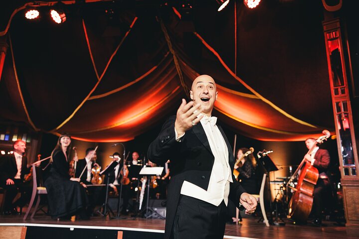 Découvrez le Strauss Dinner Show à Vienne, un mélange de musique classique, de performance et de gastronomie, photo 8 | wizardtrip