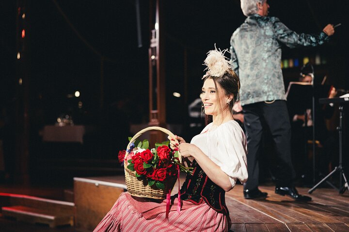 Découvrez le Strauss Dinner Show à Vienne, un mélange de musique classique, de performance et de gastronomie, photo 13 | wizardtrip