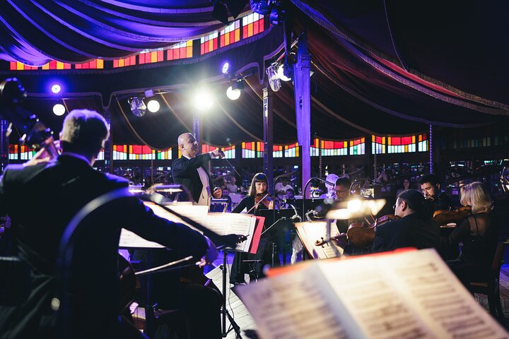 Découvrez le Strauss Dinner Show à Vienne, un mélange de musique classique, de performance et de gastronomie, photo 16 | wizardtrip
