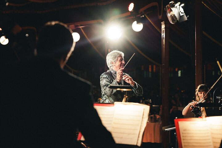 Découvrez le Strauss Dinner Show à Vienne, un mélange de musique classique, de performance et de gastronomie, photo 18 | wizardtrip