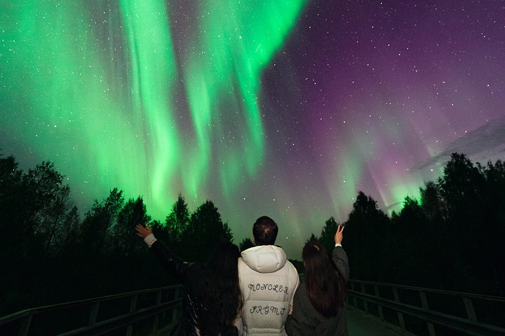 Chase the Northern Lights in Rovaniemi with a small group, professional photos, and a refund guarantee, photo 16 | wizardtrip