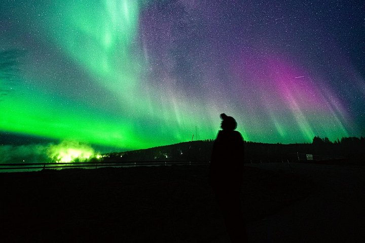 Chase the Northern Lights in Rovaniemi with a small group, professional photos, and a refund guarantee, photo 21 | wizardtrip