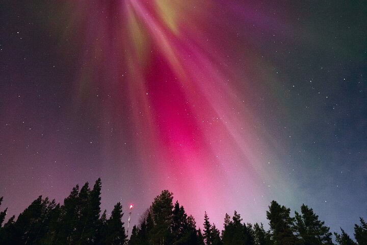 Chase the Northern Lights in Rovaniemi with a small group, professional photos, and a refund guarantee, photo 25 | wizardtrip