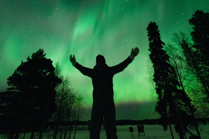 Chase the Northern Lights in Rovaniemi with a small group, professional photos, and a refund guarantee, photo 26 | wizardtrip