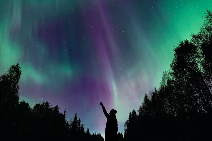 Caça à Aurora Boreal em Rovaniemi, Finlândia, com fotografia profissional e visualização garantida, foto 16 | wizardtrip