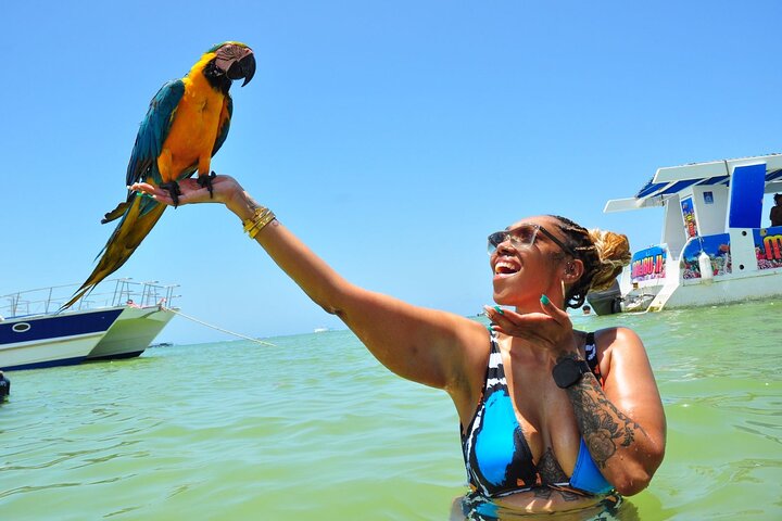 Festbåttur kun for voksne i Punta Cana med snorkling, åpen bar og DJ, foto 5 | wizardtrip
