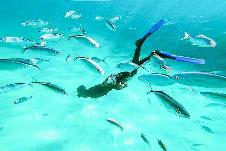 Festbåttur kun for voksne i Punta Cana med snorkling, åpen bar og DJ, foto 24 | wizardtrip