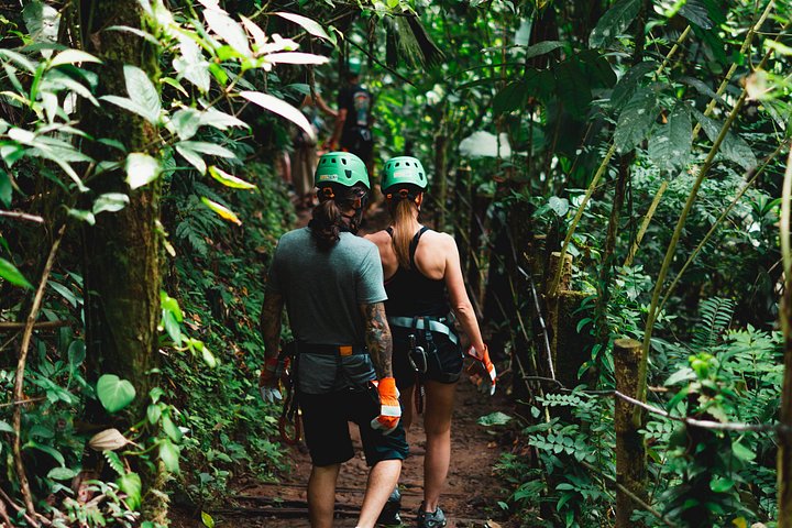 Opplev spennende fosseklatring og dyrelivsobservasjon på et juvingeventyr i La Fortuna, Costa Rica, foto 9 | wizardtrip