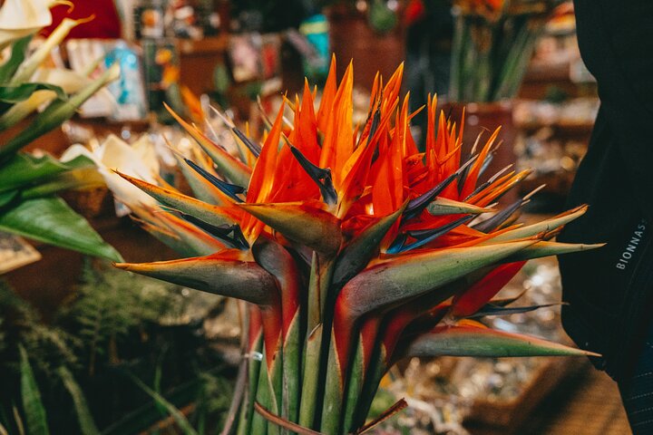 Um tour a pé gastronómico e cultural no Funchal, Madeira, provando comida e vinho locais, foto 10 | wizardtrip
