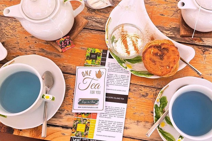 Um tour a pé gastronómico e cultural no Funchal, Madeira, provando comida e vinho locais, foto 23 | wizardtrip