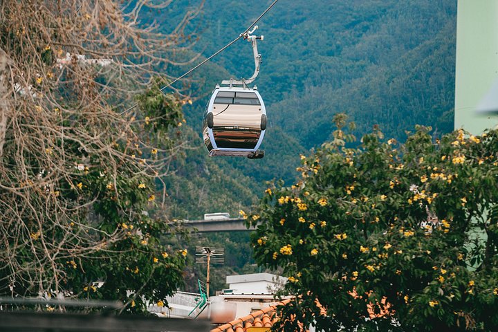 Um tour a pé gastronómico e cultural no Funchal, Madeira, provando comida e vinho locais, foto 28 | wizardtrip