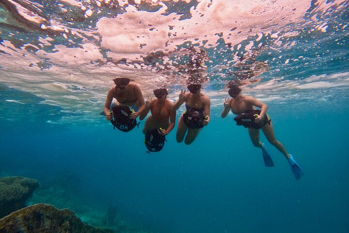 Tour en scooter des mers écologique pour nager avec les tortues à Rarotonga | wizardtrip