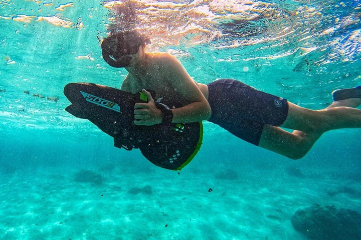 Passeio ecológico de scooter aquática em Rarotonga com tartarugas e vida marinha, foto 9 | wizardtrip