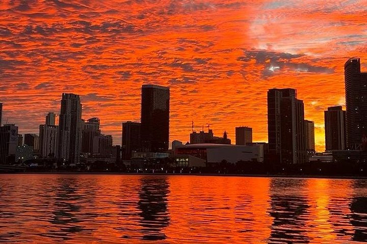 Crucero privado en barco por Miami, explorando el horizonte de la ciudad, islas y costa, foto 19 | wizardtrip