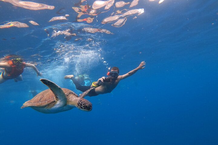 Aventura de caiaque e snorkel na costa vulcânica de Tenerife, à procura de vida marinha, foto 6 | wizardtrip