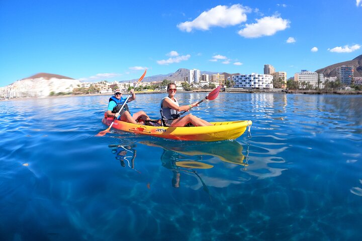 Aventura de caiaque e snorkel na costa vulcânica de Tenerife, à procura de vida marinha, foto 7 | wizardtrip