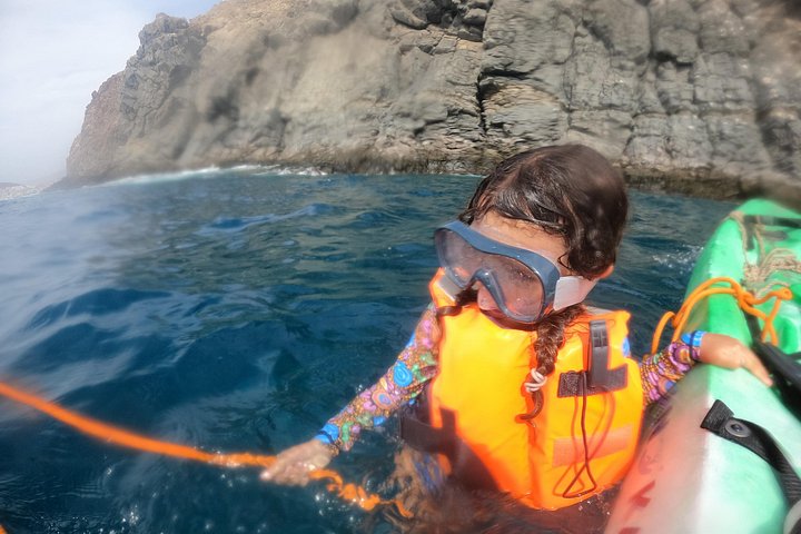 Aventura de caiaque e snorkel na costa vulcânica de Tenerife, à procura de vida marinha, foto 16 | wizardtrip