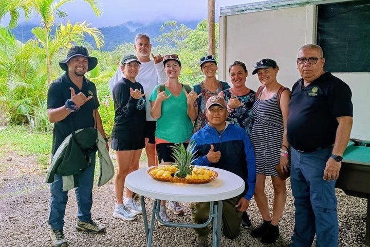 Erkunden Sie die Natur Costa Ricas mit Faultierbeobachtung, Kaffee-Verkostung und Wasserfall-Schwimmen, Foto 15 | wizardtrip