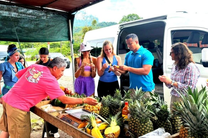 Erkunden Sie die Natur Costa Ricas mit Faultierbeobachtung, Kaffee-Verkostung und Wasserfall-Schwimmen, Foto 18 | wizardtrip
