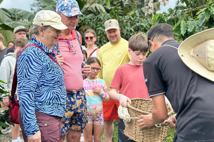 Erkunden Sie die Natur Costa Ricas mit Faultierbeobachtung, Kaffee-Verkostung und Wasserfall-Schwimmen, Foto 24 | wizardtrip
