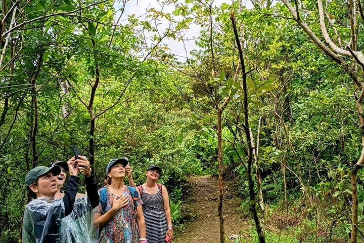 Erkunden Sie die Natur Costa Ricas mit Faultierbeobachtung, Kaffee-Verkostung und Wasserfall-Schwimmen, Foto 42 | wizardtrip