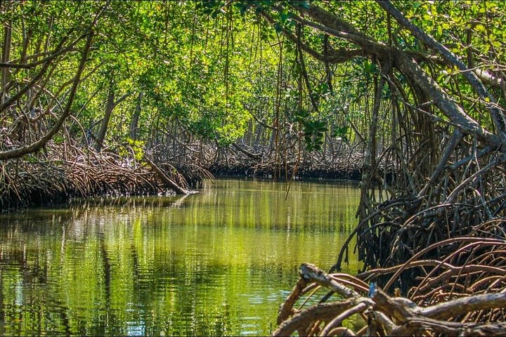 Explore diversas paisagens dominicanas: parques nacionais, cascatas e miradouros com baloiços, foto 6 | wizardtrip