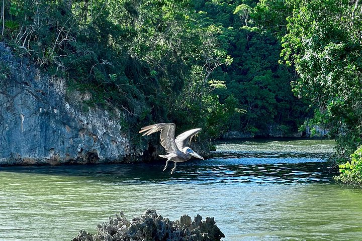 Explore diversas paisagens dominicanas: parques nacionais, cascatas e miradouros com baloiços, foto 16 | wizardtrip