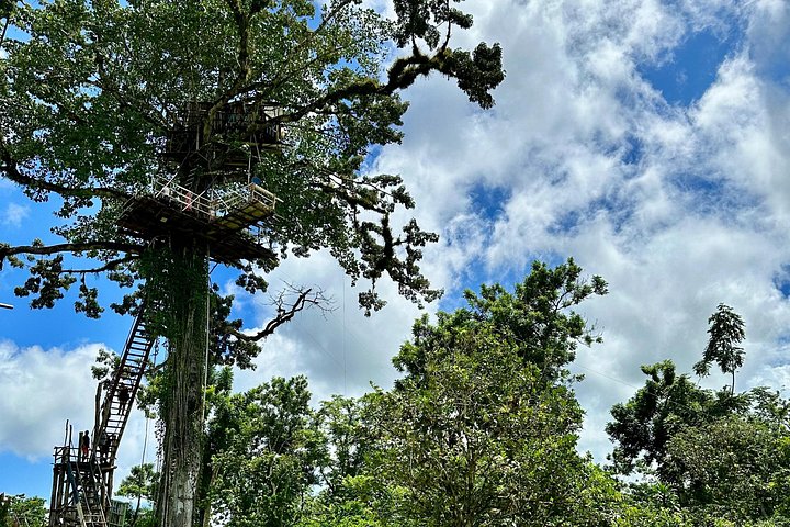 Explore diversas paisagens dominicanas: parques nacionais, cascatas e miradouros com baloiços, foto 17 | wizardtrip