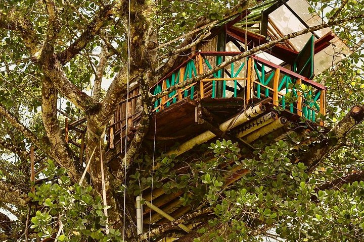 Explore diversas paisagens dominicanas: parques nacionais, cascatas e miradouros com baloiços, foto 18 | wizardtrip