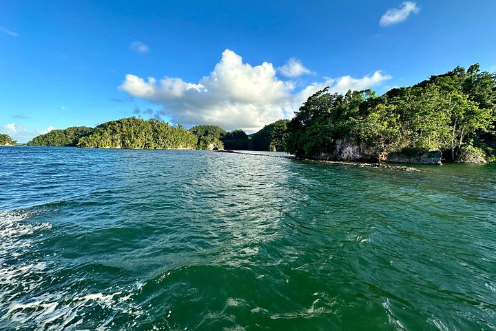Explore diversas paisagens dominicanas: parques nacionais, cascatas e miradouros com baloiços, foto 19 | wizardtrip
