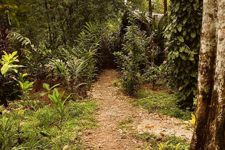 Explore diversas paisagens dominicanas: parques nacionais, cascatas e miradouros com baloiços, foto 27 | wizardtrip
