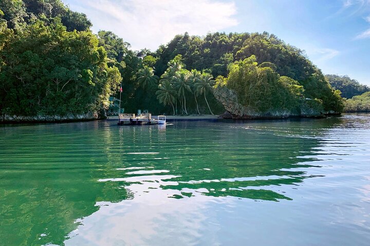 Explore diversas paisagens dominicanas: parques nacionais, cascatas e miradouros com baloiços, foto 35 | wizardtrip