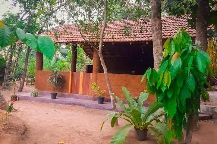 Leer traditioneel Sri Lankaans koken in een dorp nabij Kandy, Sri Lanka, inclusief een marktbezoek, foto 11 | wizardtrip