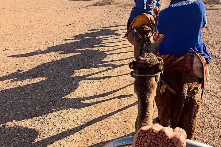 Passeios de quad, de camelo e jantar com espetáculo no Deserto de Agafay, perto de Marraquexe, foto 14 | wizardtrip
