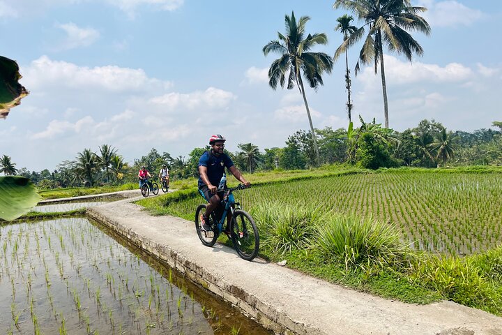 E-Bike-Tour durch die Reisterrassen und Dörfer von Ubud, Indonesien, Foto 6 | wizardtrip