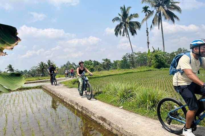 E-Bike-Tour durch die Reisterrassen und Dörfer von Ubud, Indonesien, Foto 7 | wizardtrip