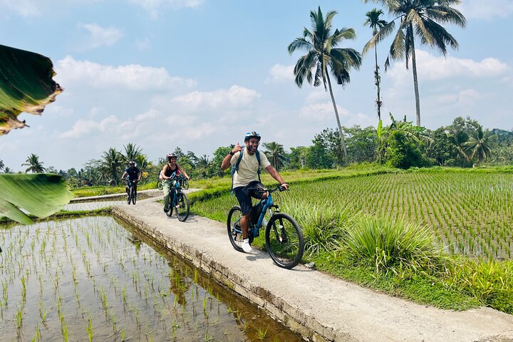 E-Bike-Tour durch die Reisterrassen und Dörfer von Ubud, Indonesien, Foto 8 | wizardtrip