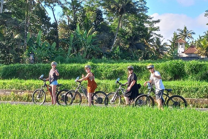E-Bike-Tour durch die Reisterrassen und Dörfer von Ubud, Indonesien, Foto 11 | wizardtrip