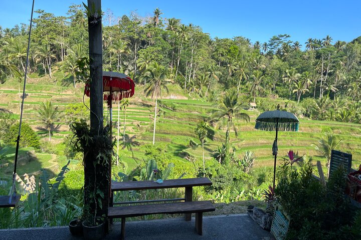 E-Bike-Tour durch die Reisterrassen und Dörfer von Ubud, Indonesien, Foto 12 | wizardtrip
