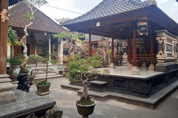 E-Bike-Tour durch die Reisterrassen und Dörfer von Ubud, Indonesien, Foto 13 | wizardtrip